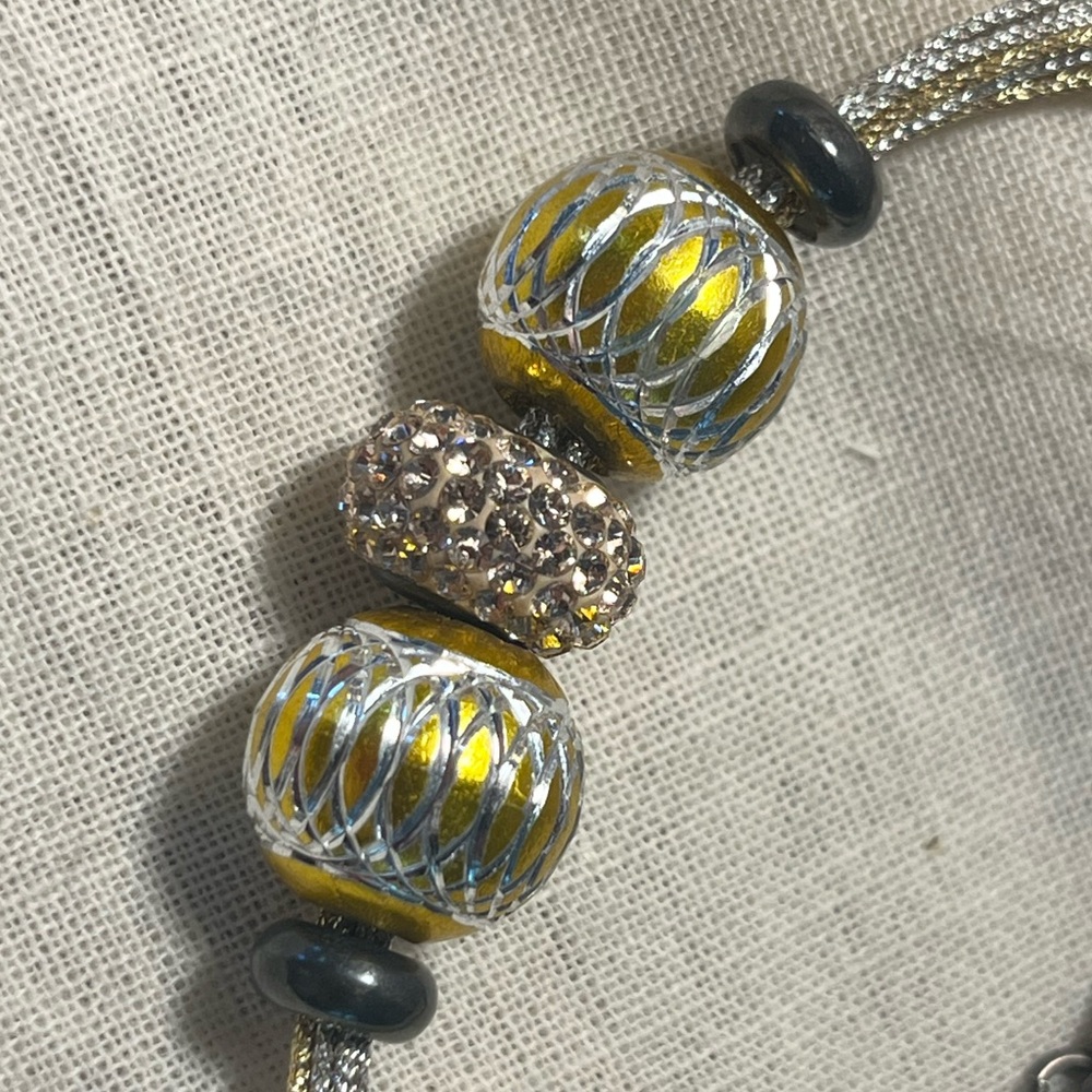 Pandora Charm Bracelet